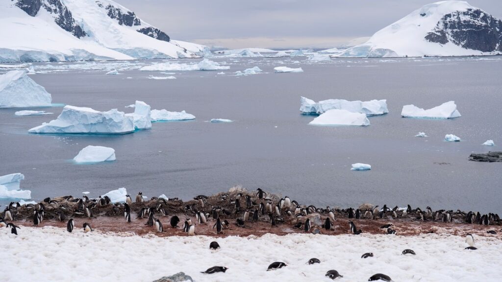 Antarctic Peninsula 여행