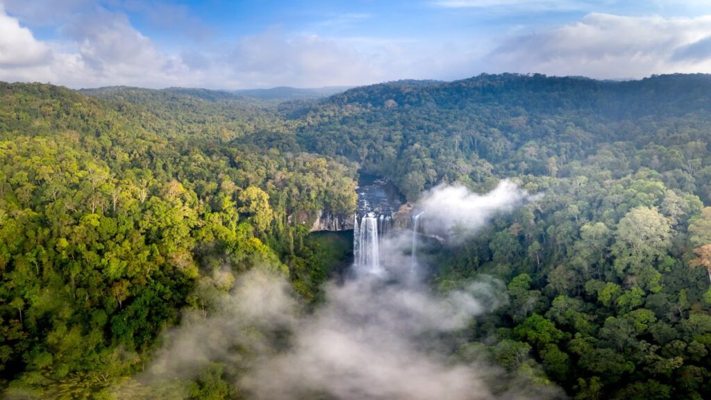 Kaieteur Falls 여행