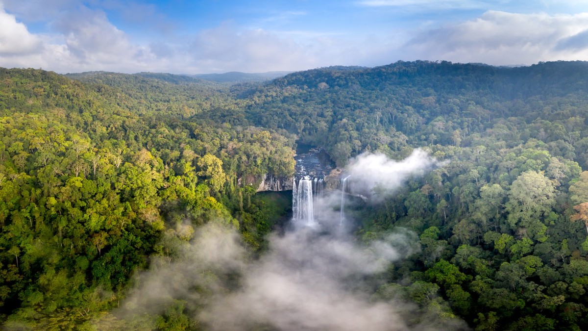 Kaieteur Falls 여행