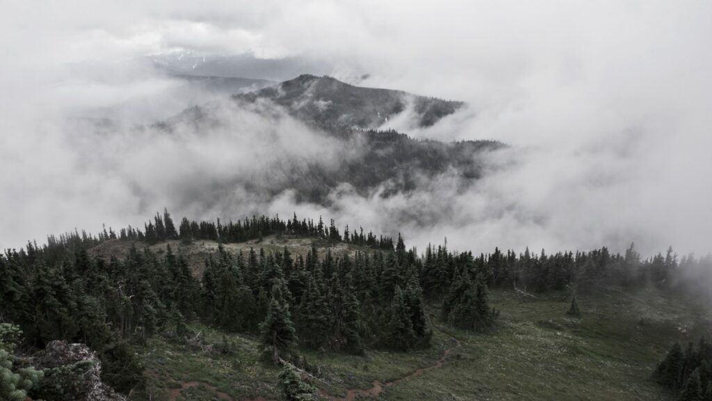 Olympic National Park 여행
