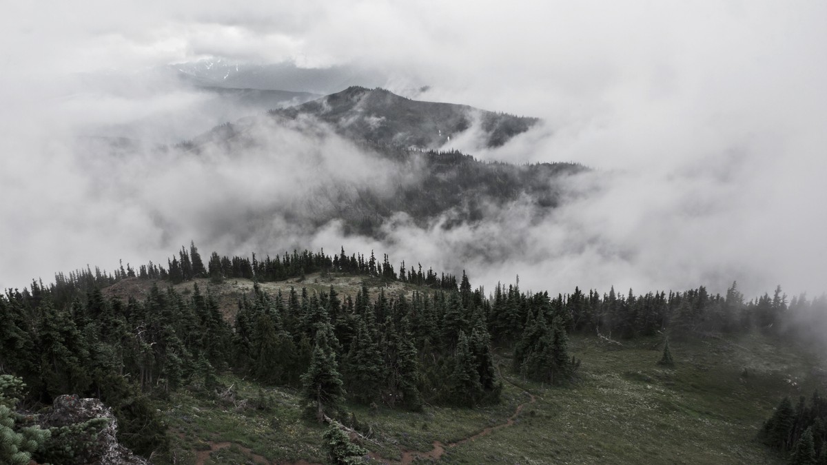 Olympic National Park 여행