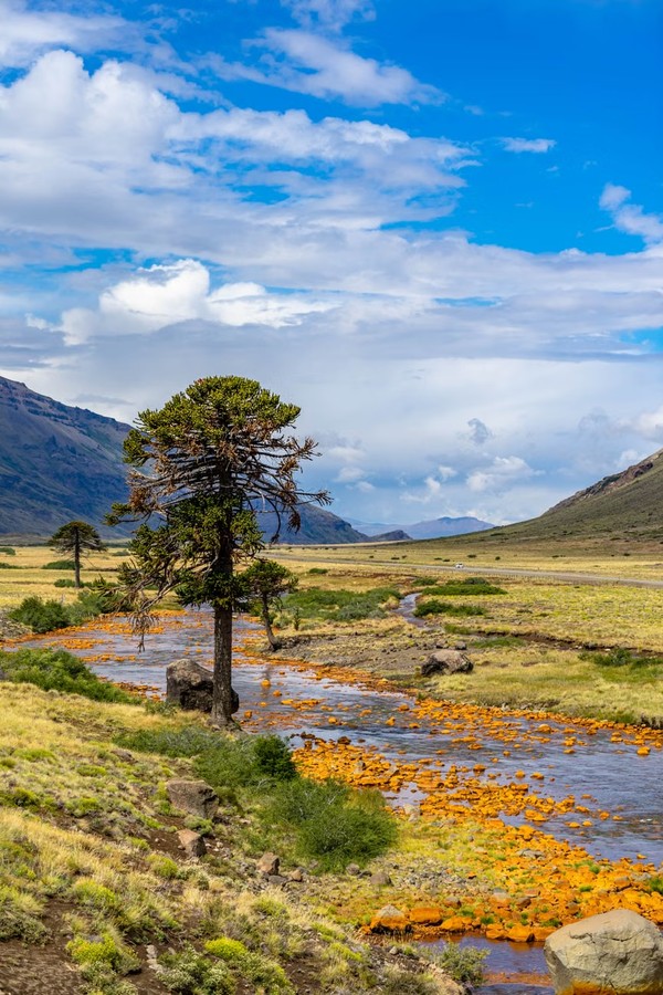 Tierra del Fuego National Park 명소