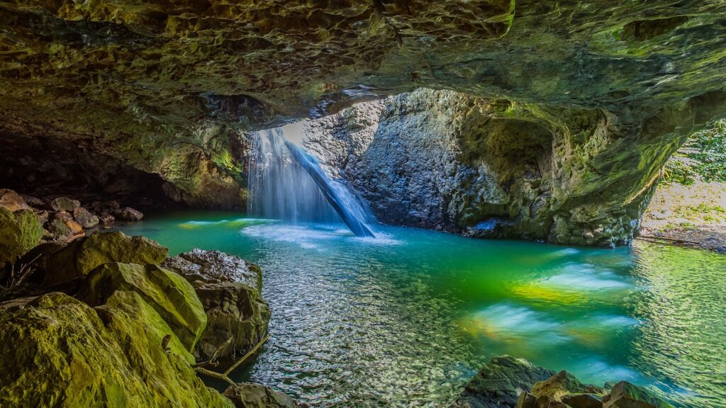 springbrook national park