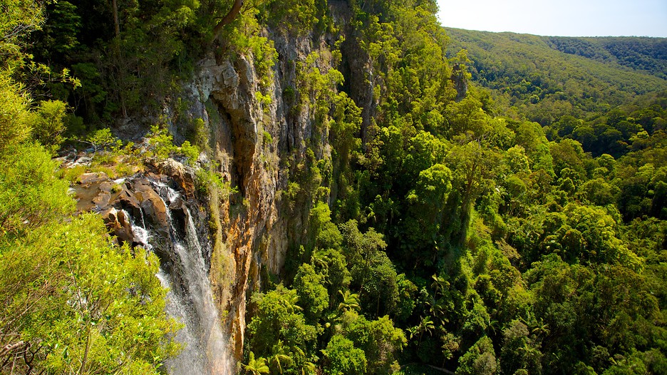 Springbrook National Park tips