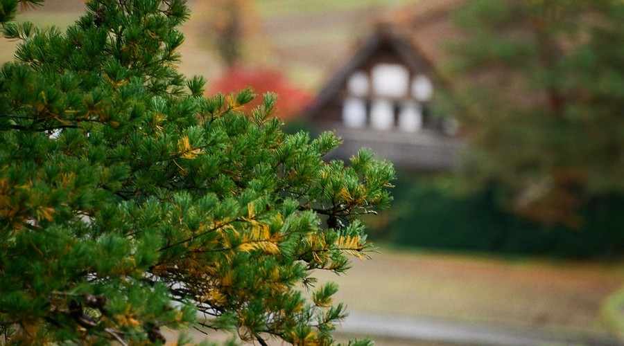 Shirakawa-go attraction3