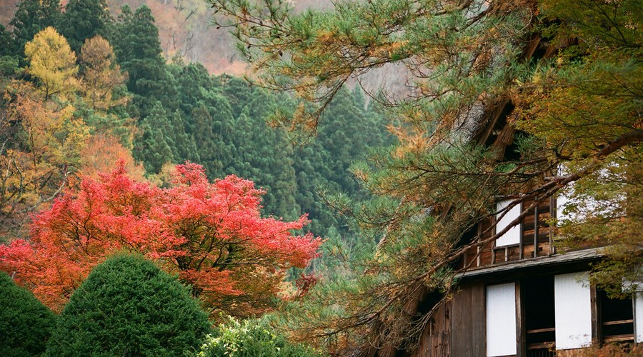Shirakawa-go attraction
