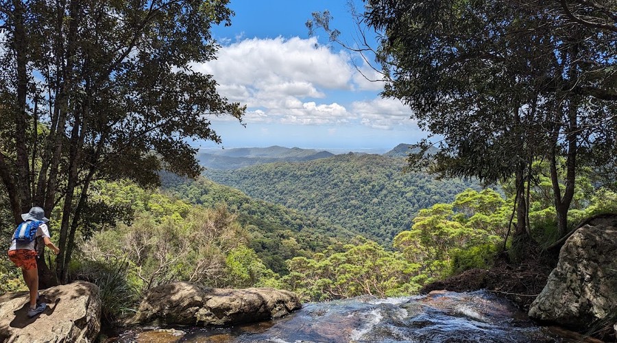Springbrook National Park attraction3