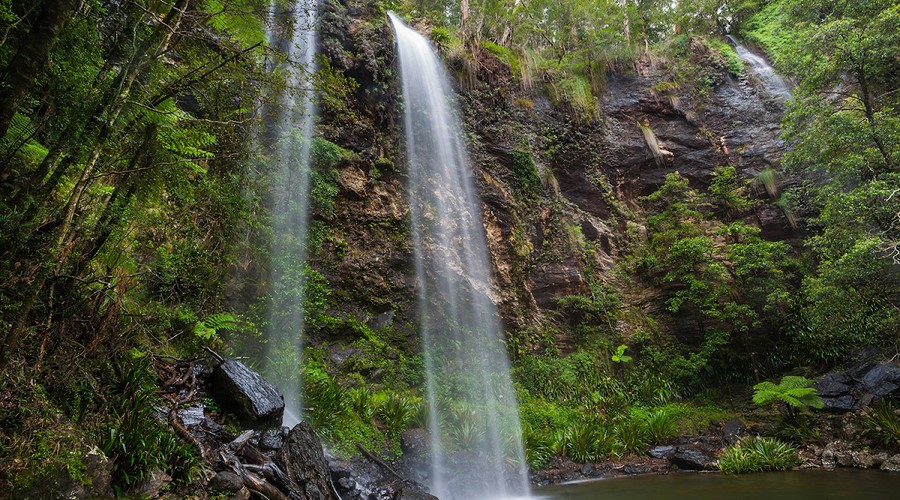 Springbrook National Park attraction