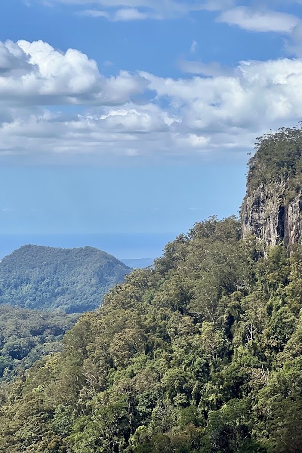 Springbrook National Park 명소 2