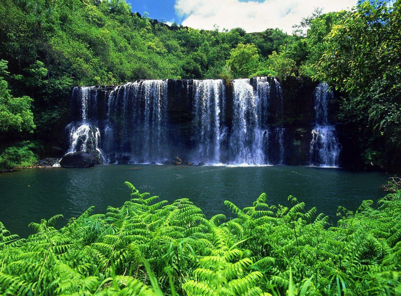 Atherton Tablelands attraction3